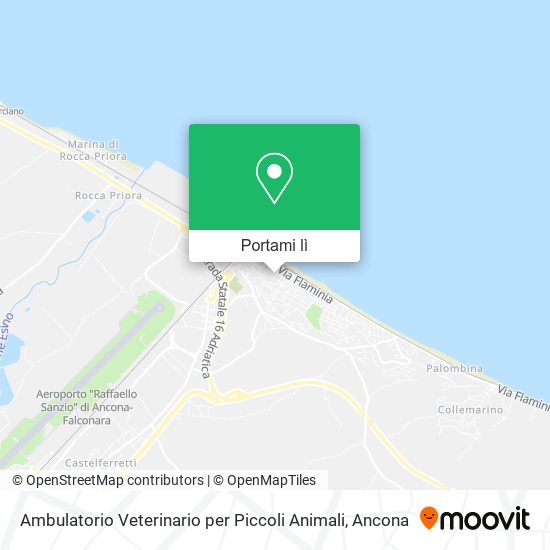 Mappa Ambulatorio Veterinario per Piccoli Animali