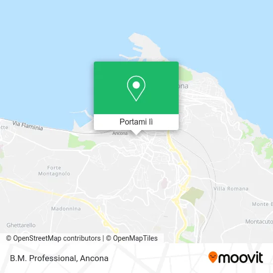 Mappa B.M. Professional