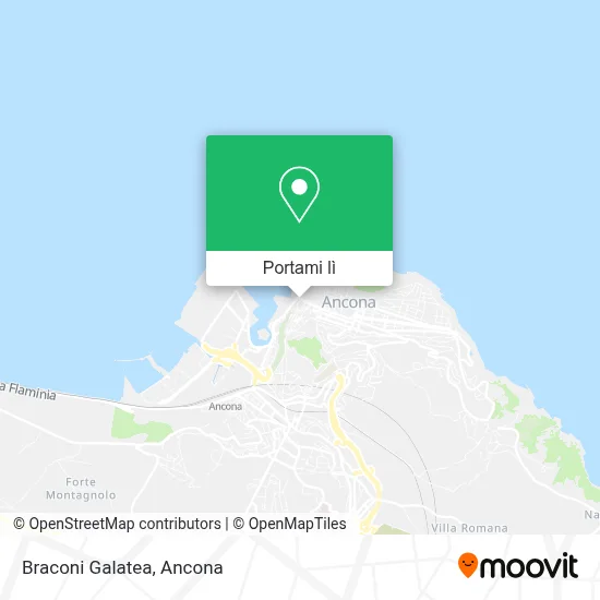 Mappa Braconi Galatea