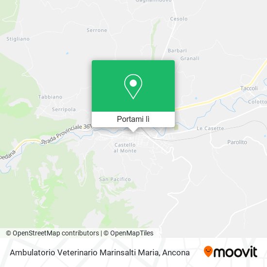 Mappa Ambulatorio Veterinario Marinsalti Maria