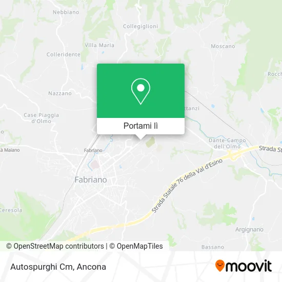 Mappa Autospurghi Cm