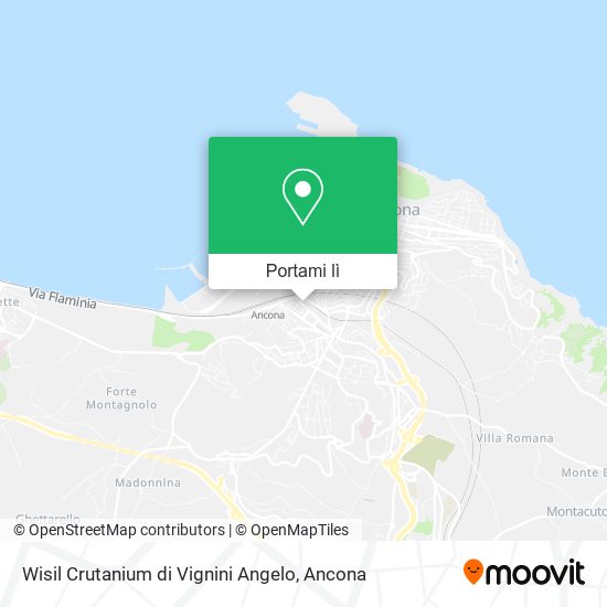 Mappa Wisil Crutanium di Vignini Angelo