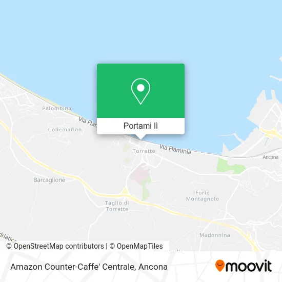 Mappa Amazon Counter-Caffe' Centrale