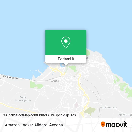 Mappa Amazon Locker-Alidoro