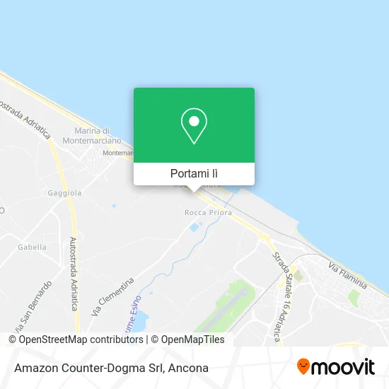 Mappa Amazon Counter-Dogma Srl