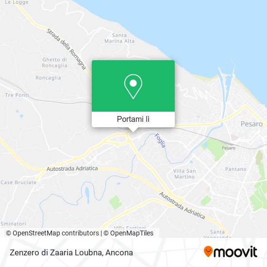 Mappa Zenzero di Zaaria Loubna