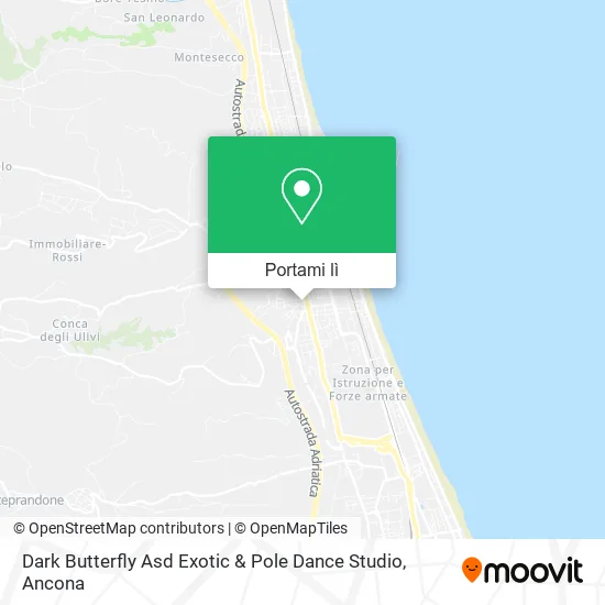 Mappa Dark Butterfly Asd Exotic & Pole Dance Studio