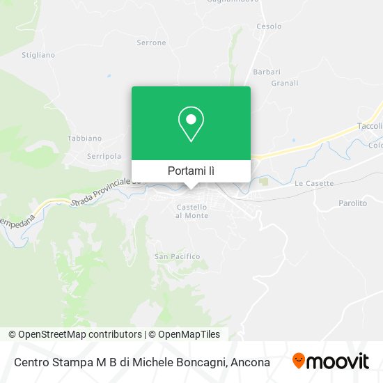 Mappa Centro Stampa M B di Michele Boncagni