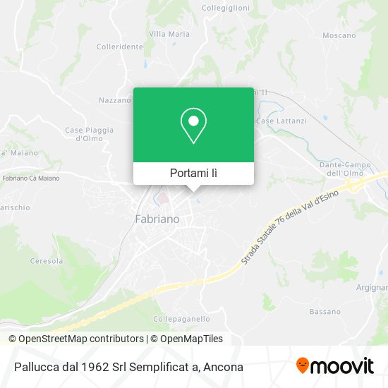 Mappa Pallucca dal 1962 Srl Semplificat a