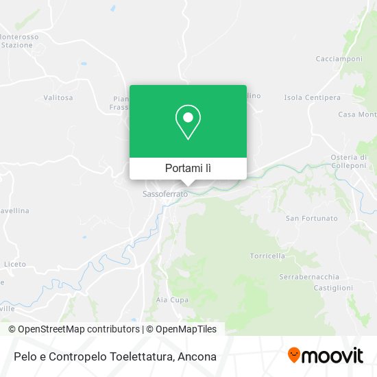 Mappa Pelo e Contropelo Toelettatura