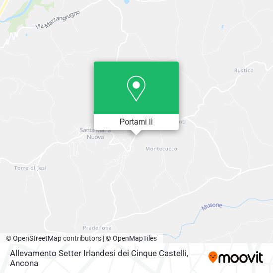 Mappa Allevamento Setter Irlandesi dei Cinque Castelli
