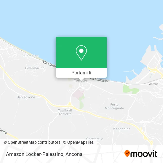 Mappa Amazon Locker-Palestino
