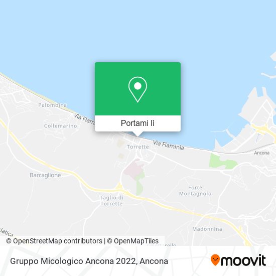 Mappa Gruppo Micologico Ancona 2022