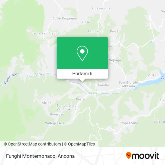 Mappa Funghi Montemonaco