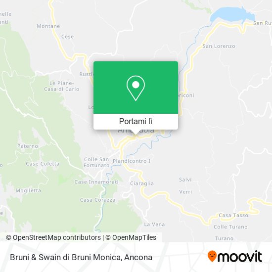 Mappa Bruni & Swain di Bruni Monica