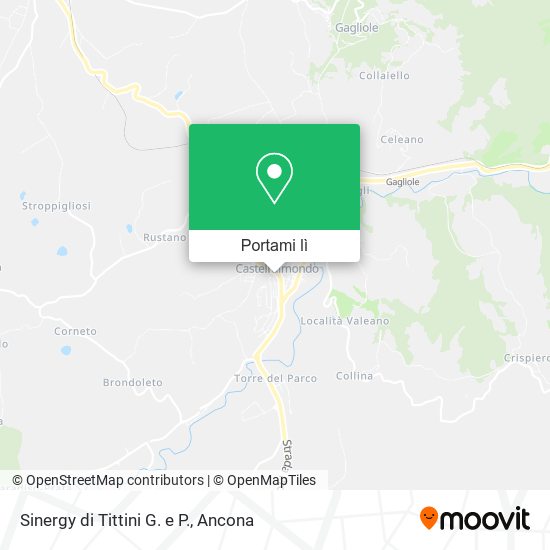 Mappa Sinergy di Tittini G. e P.