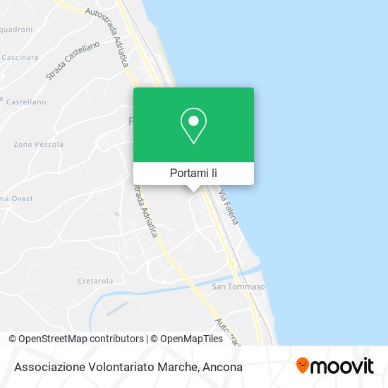 Mappa Associazione Volontariato Marche
