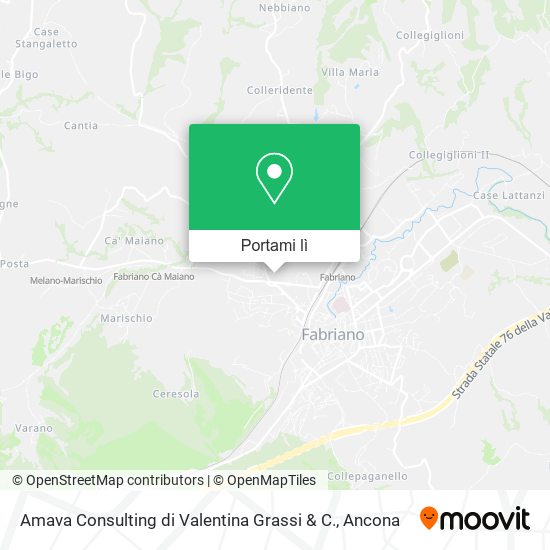 Mappa Amava Consulting di Valentina Grassi & C.