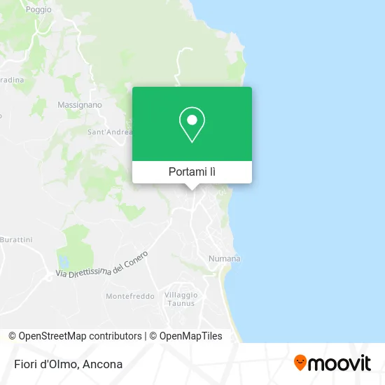 Mappa Fiori d'Olmo