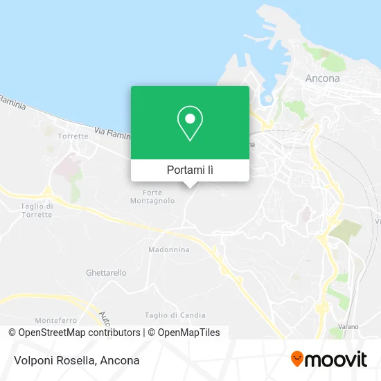 Mappa Volponi Rosella