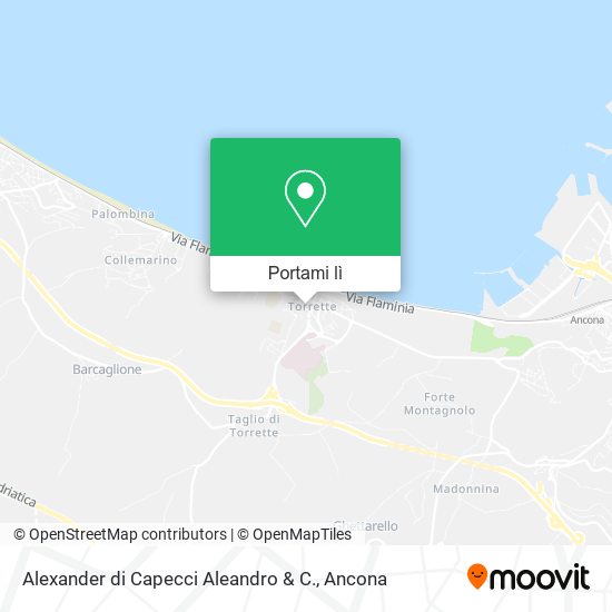 Mappa Alexander di Capecci Aleandro & C.