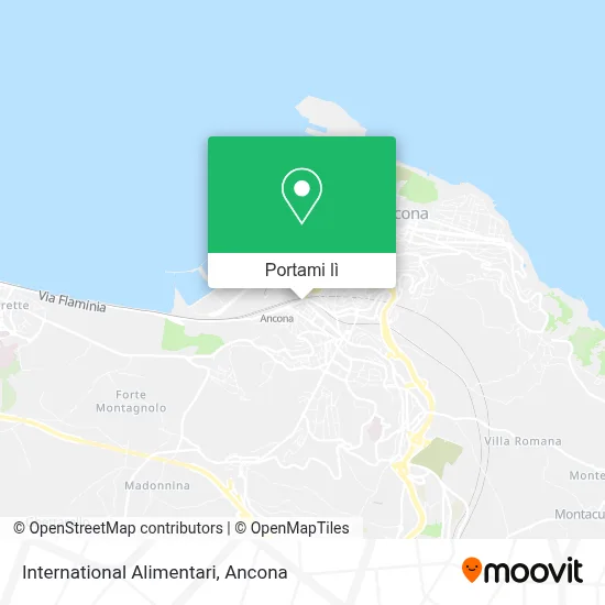 Mappa International Alimentari