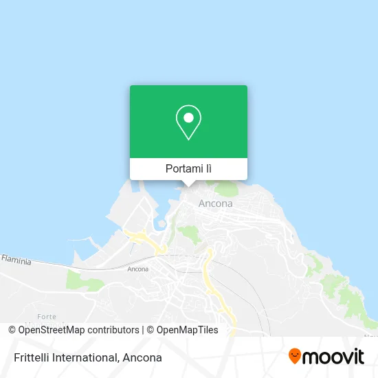 Mappa Frittelli International