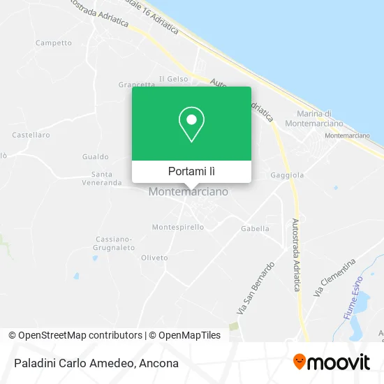 Mappa Paladini Carlo Amedeo