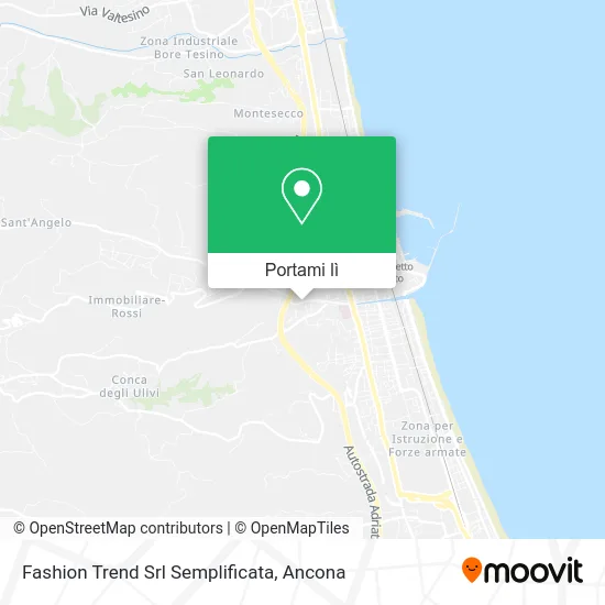 Mappa Fashion Trend Srl Semplificata