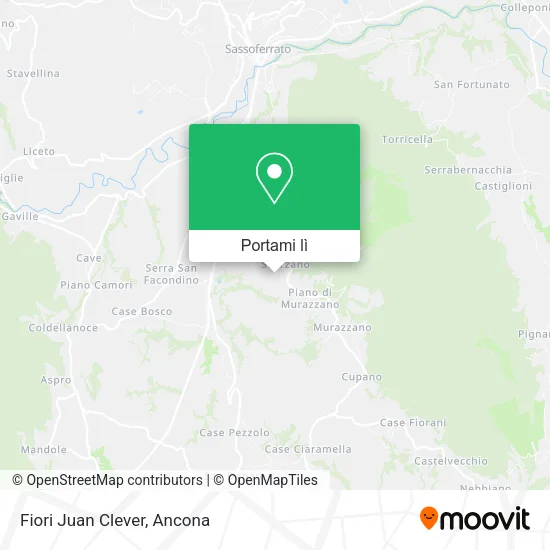 Mappa Fiori Juan Clever