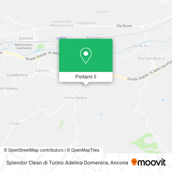 Mappa Splendor Clean di Turino Adelina Domenica