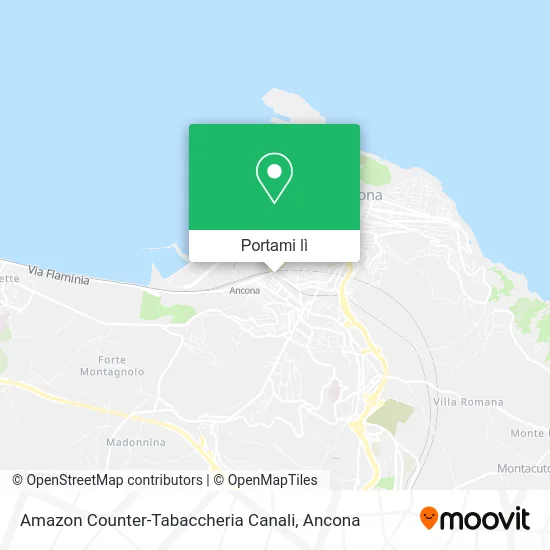 Mappa Amazon Counter-Tabaccheria Canali