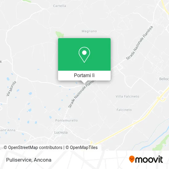 Mappa Puliservice