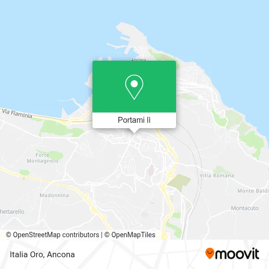Mappa Italia Oro