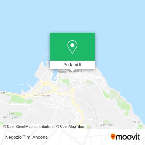 Mappa Negozio Tim