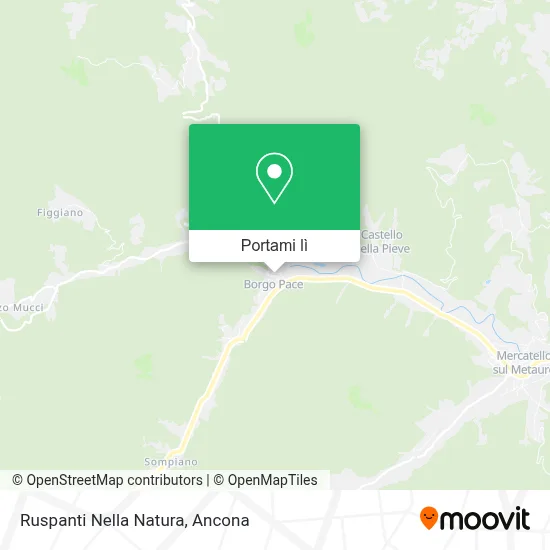 Mappa Ruspanti Nella Natura