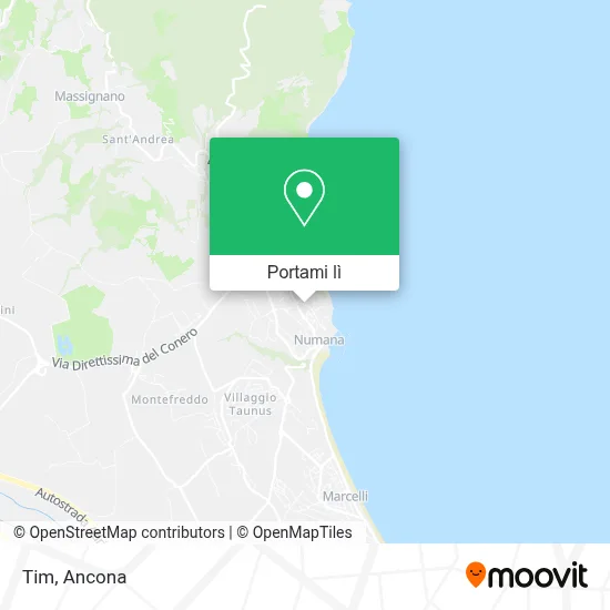 Mappa Tim