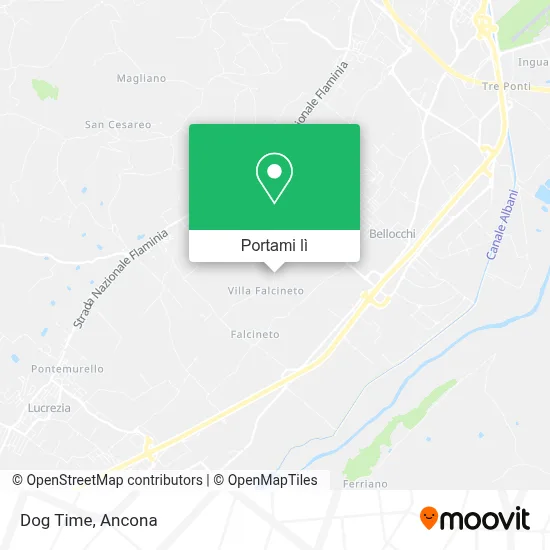 Mappa Dog Time