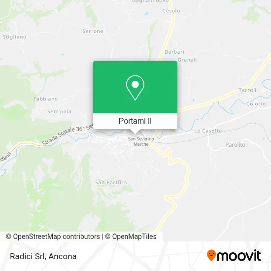 Mappa Radici Srl