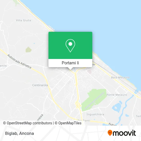 Mappa Biglab