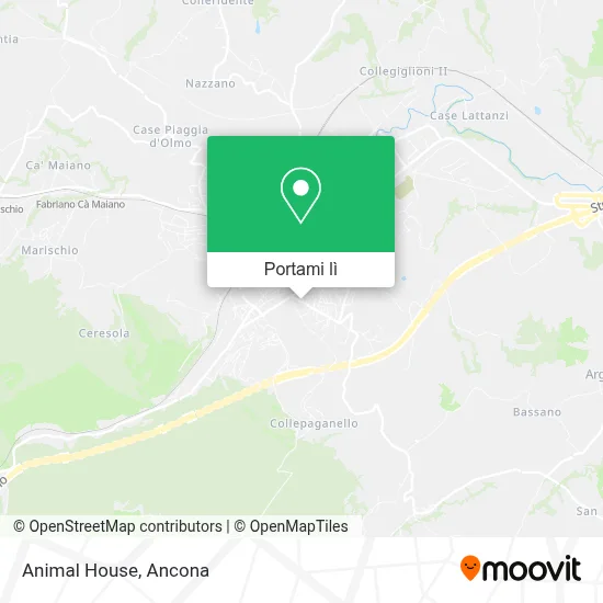 Mappa Animal House