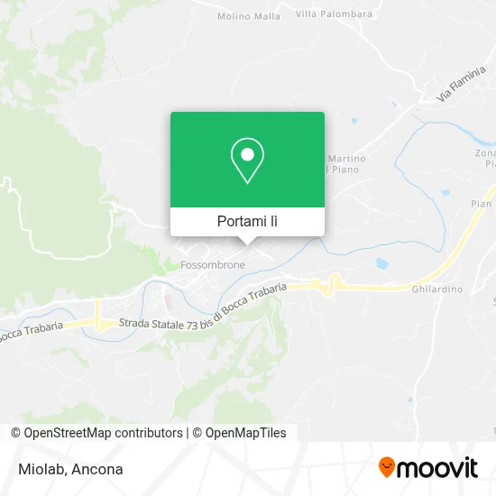 Mappa Miolab