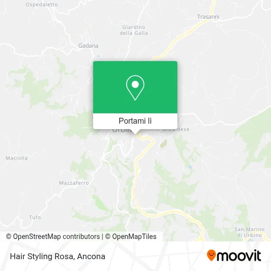 Mappa Hair Styling Rosa
