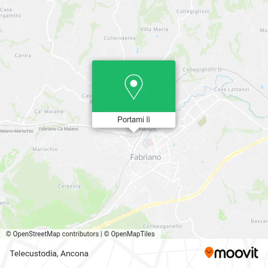 Mappa Telecustodia