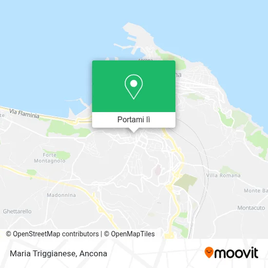 Mappa Maria Triggianese