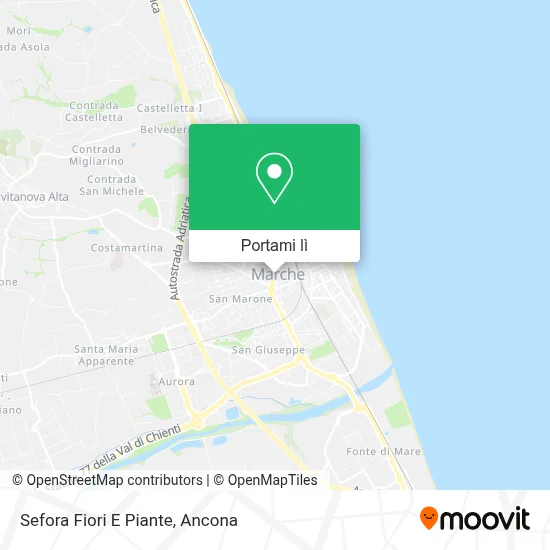 Mappa Sefora Fiori E Piante