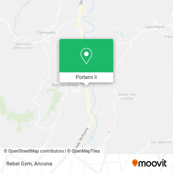 Mappa Rebel Gym