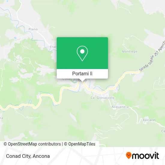 Mappa Conad City