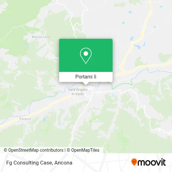 Mappa Fg Consulting Case