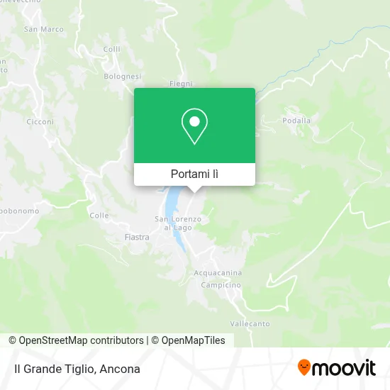 Mappa Il Grande Tiglio